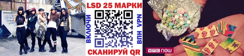 дарнет шоп  Новотитаровская  KRAKEN как зайти  Марки NBOMe 1,8мг 