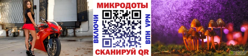 Галлюциногенные грибы Cubensis  Новотитаровская 