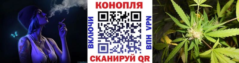 МАРИХУАНА ГИДРОПОН  закладки  Новотитаровская 